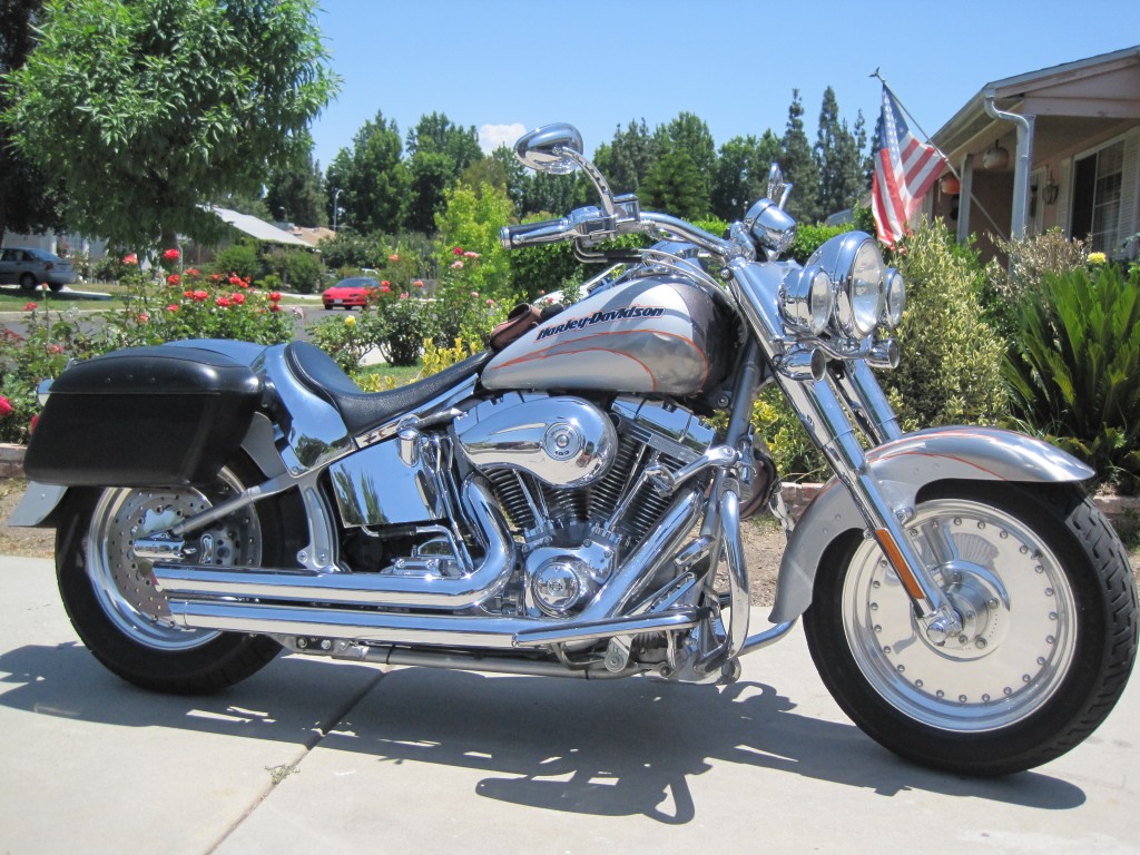 My Dragon Slayer Linda's Harley-Davidson